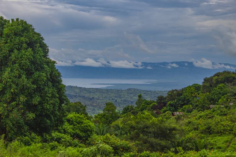 Congo déménagement 